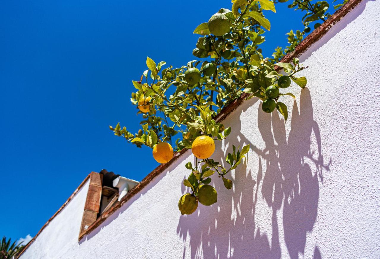 Villa Yanna Benalmadena Exterior photo